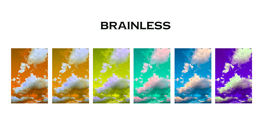 Brainless-Plan-사진1
